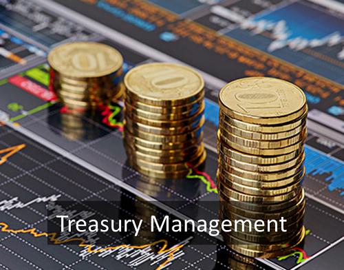 token treasury management